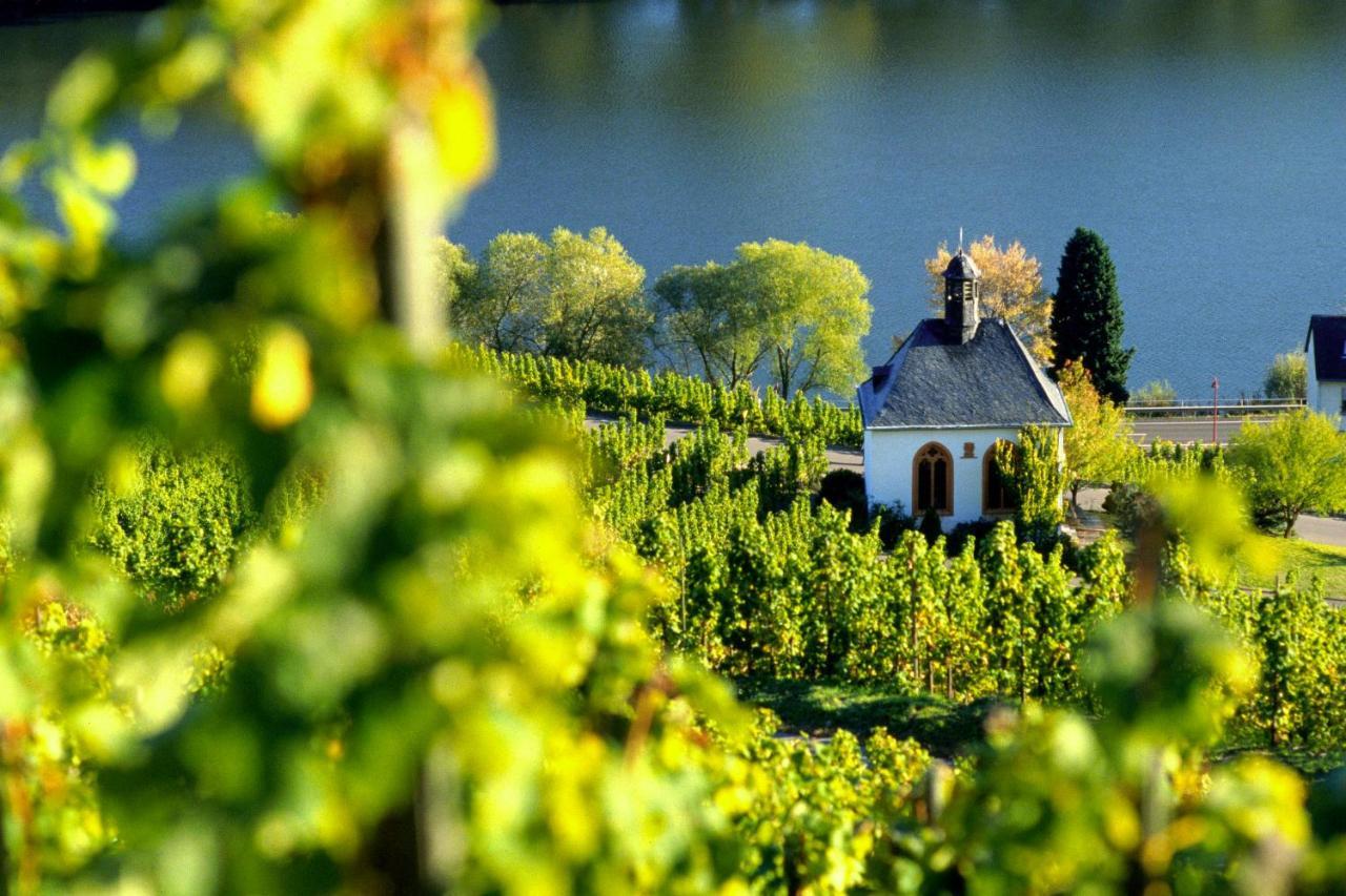 Weingut Christoffel Apartment Kovenig Ngoại thất bức ảnh